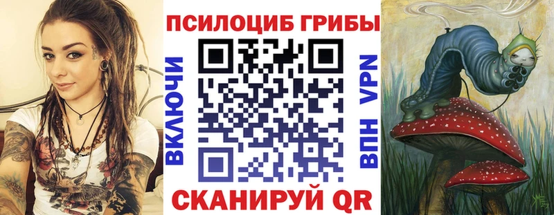 Псилоцибиновые грибы Psilocybe  Чекалин 